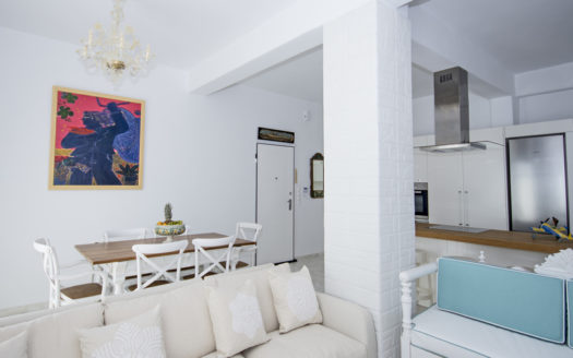 Special Villa rental #1 in Mykonos overlooking Elia bay