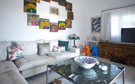 Special Villa #3 in Mykonos