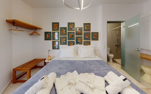 Special Villa #3 in Mykonos