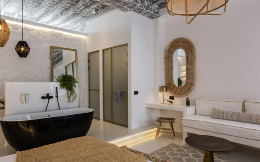 Hotel for sale in Mykonos Town-DR511222