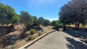 Mediterranean estate