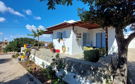 Mediterranean Estate in Mykonos-DR117224