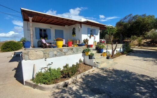 Mediterranean Estate in Mykonos-DR117224