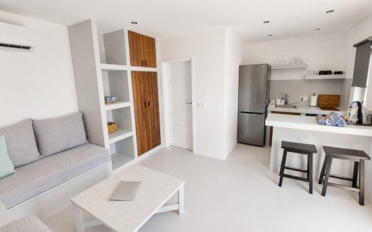Sea View Apartment in Costa Ilios, Mykonos | Dreamyard
